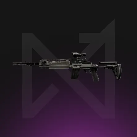 DMRs Leveling