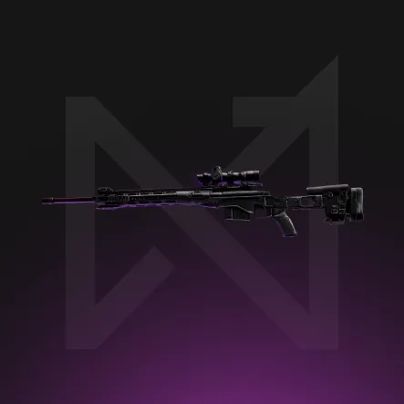 Sniper Rifles Leveling