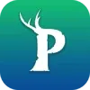 Palworld icon